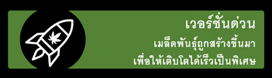เมล็ดพันธุ์กัญชารุ่นเร็ว - ไอคอนแท็บรูปภาพสายพันธุ์กัญชาที่ออกดอกเร็วเป็นพิเศษ